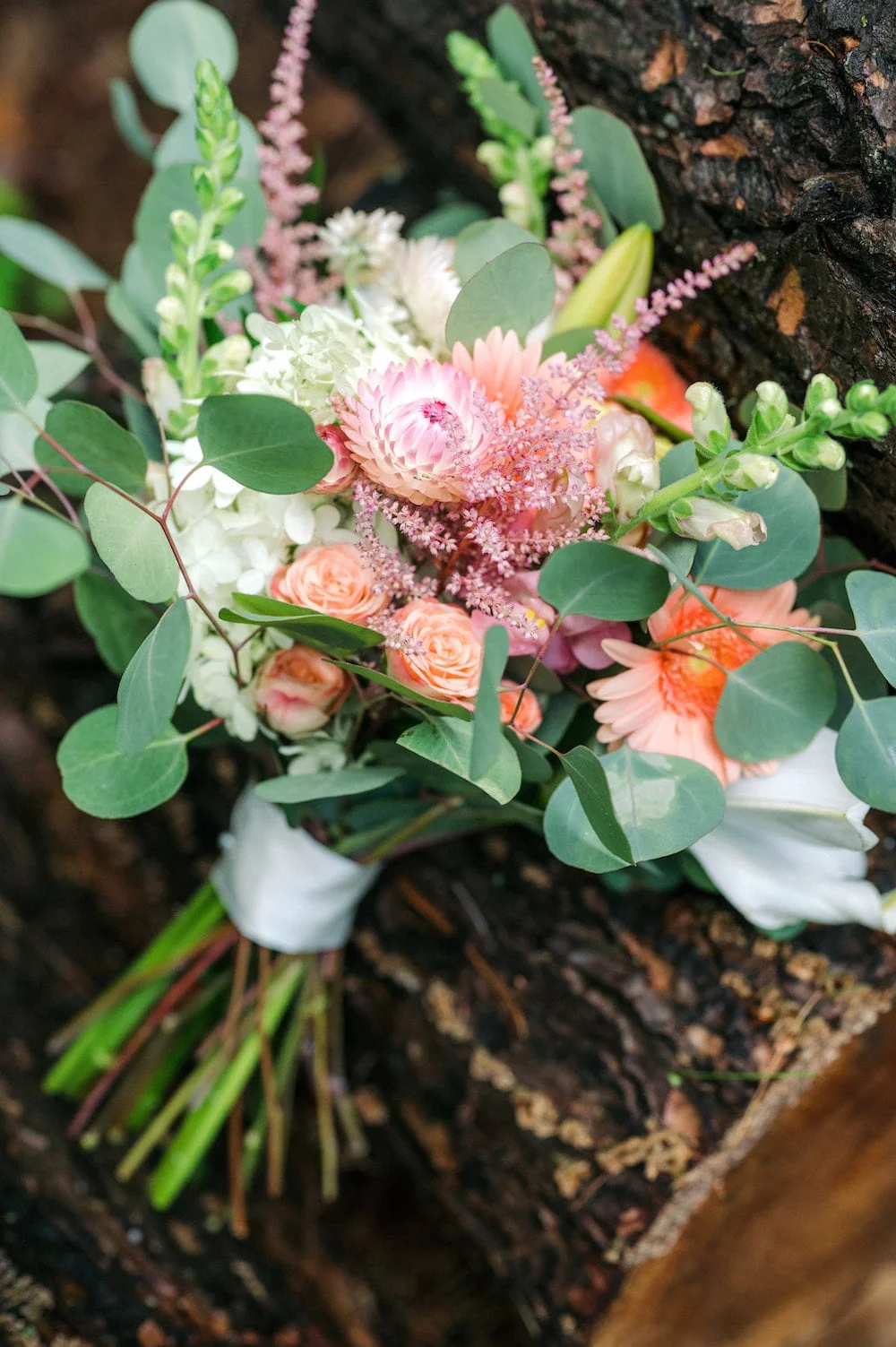 a bouquet of flowers sitting on top of a tree trunk